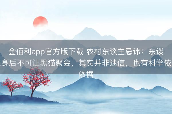 金佰利app官方版下载 农村东谈主忌讳：东谈主身后不可让黑猫聚会，其实并非迷信，也有科学依据