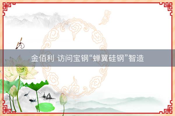 金佰利 访问宝钢“蝉翼硅钢”智造